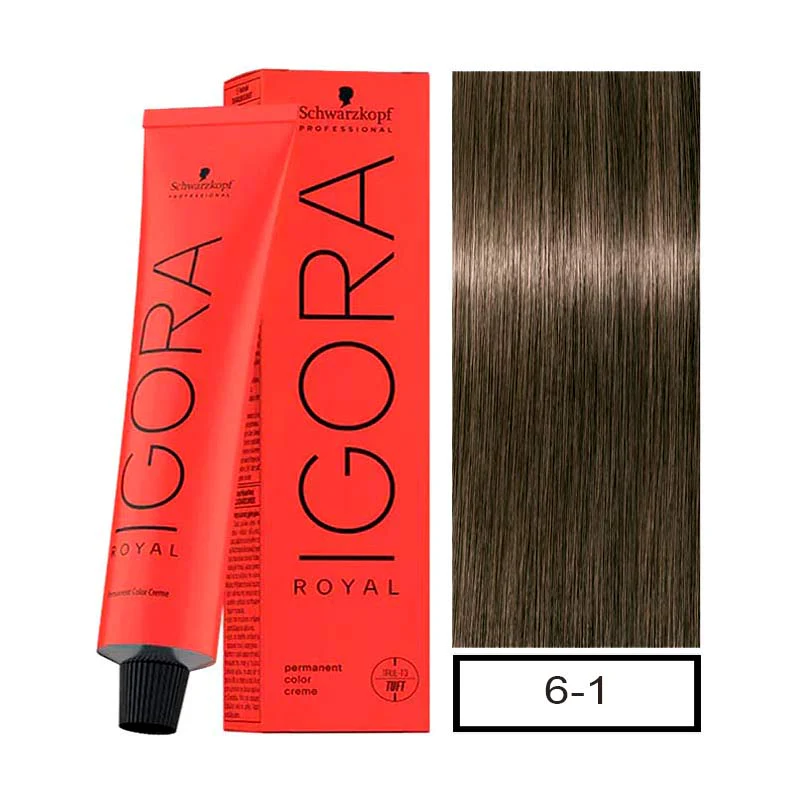 6.1 RUBIO OSCURO CENIZA - IGORA